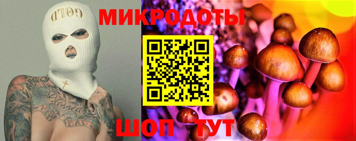Псилоцибиновые грибы Cubensis  Вход с VPN  Ипатово 