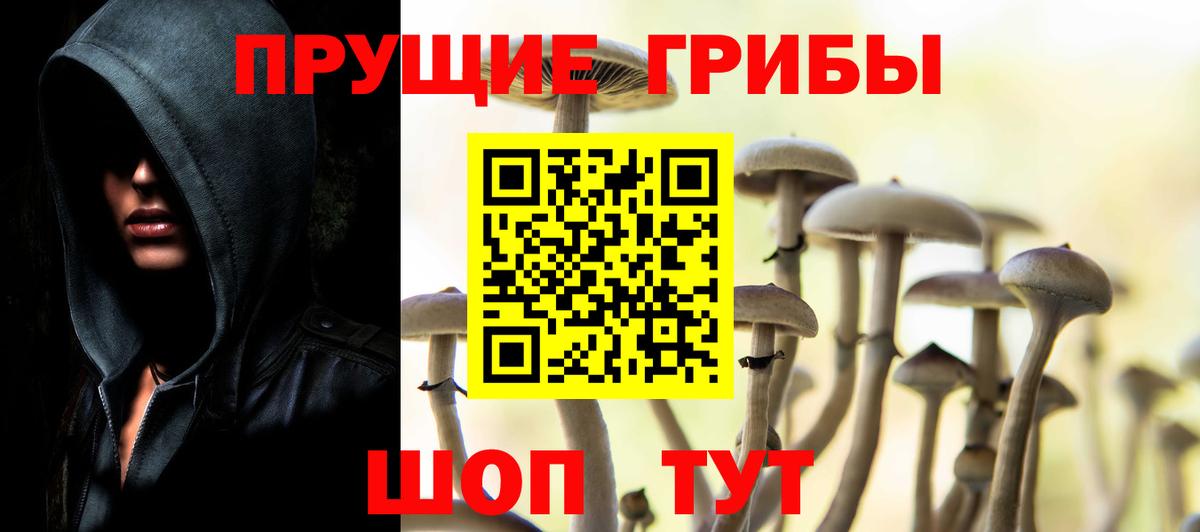 Псилоцибиновые грибы Cubensis Ипатово